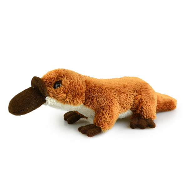 Plush Platypus Lil' Friends