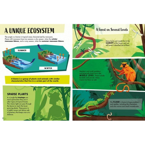 Book & Puzzle Jungle (220 Piece)