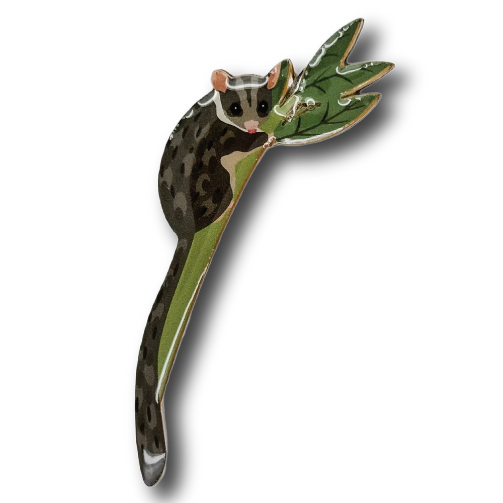 Brooch Leadbeater's Possum