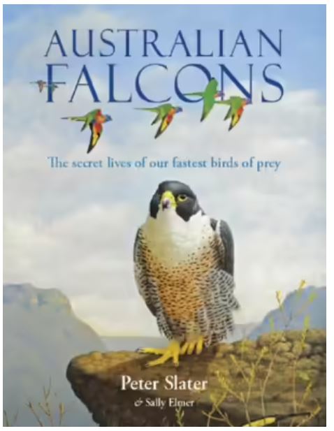 Book Australian Falcons (hardcover)