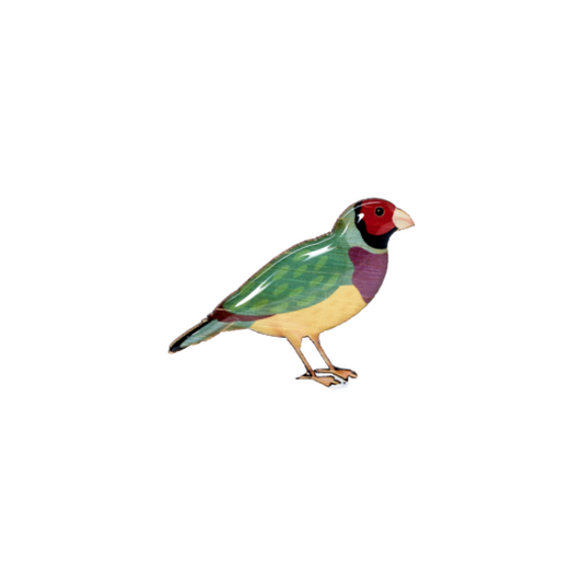 Brooch Gouldian Finch