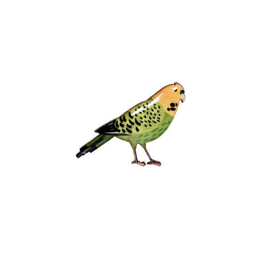 Brooch Budgie