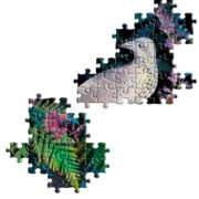 Puzzle Birds In Ferns 1000 Piece