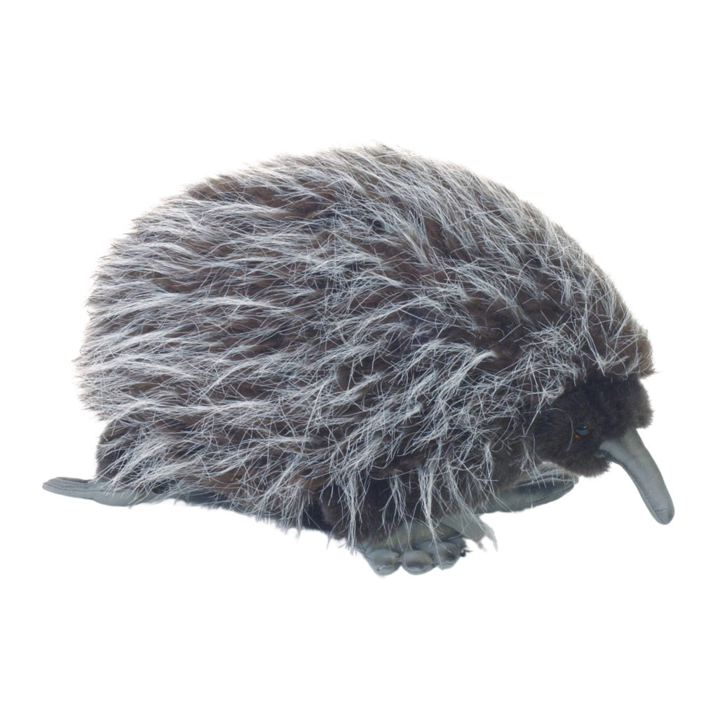 Plush Echidna