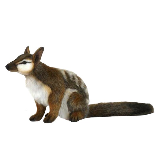 Plush Numbat