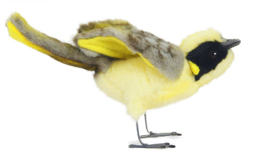 Plush Helmeted Honeyeater