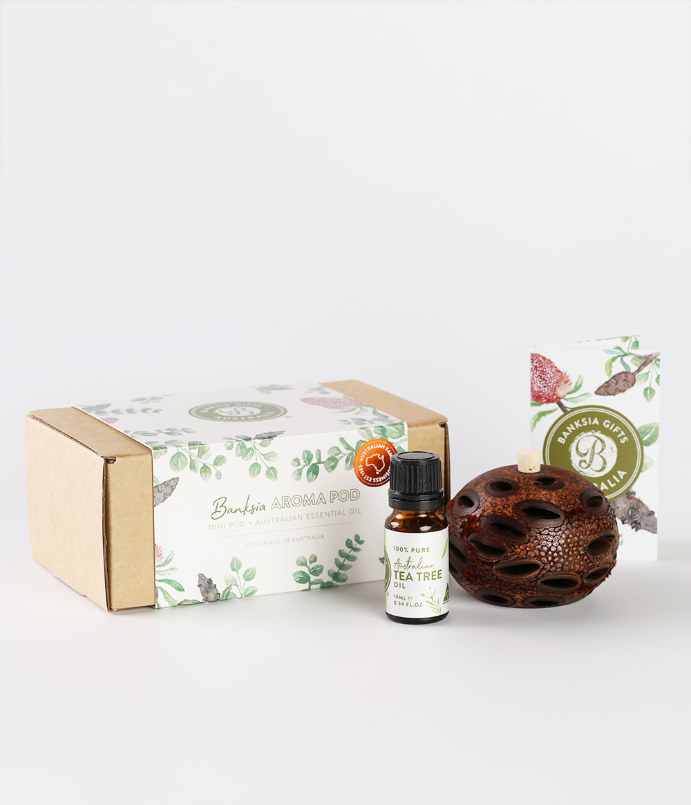 Banksia Pot and Eucalyptus Oil