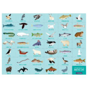 Puzzle Artic Life 64 Piece