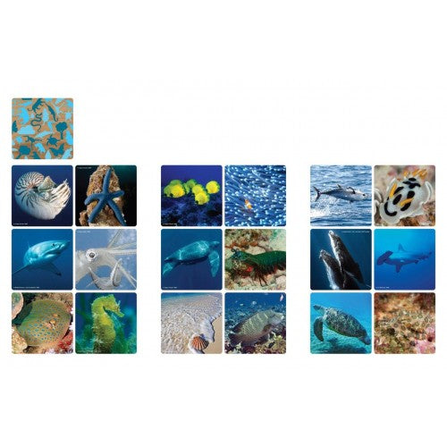 Game Mix And Match Marine WWF
