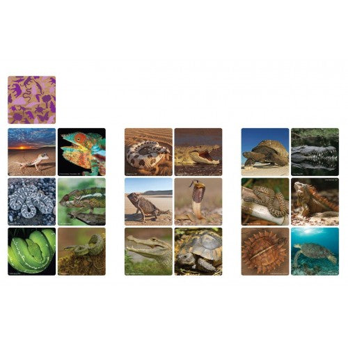 Puzzle Reptile Floor (48 Piece)