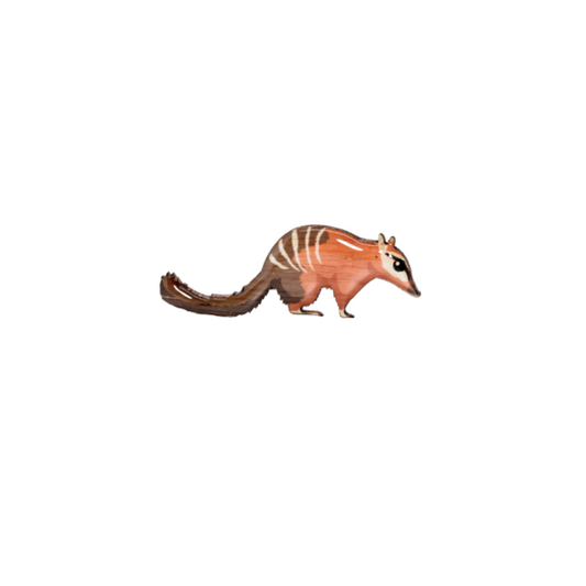 Brooch Numbat