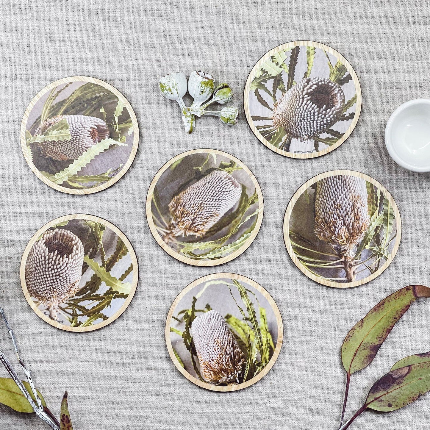 Coasters Banksia Flower (Set 6)