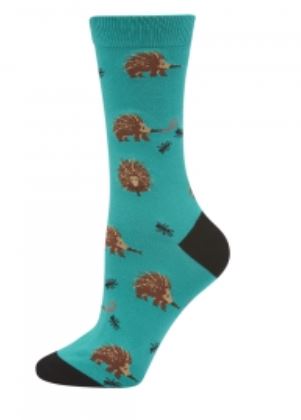 Socks Echidna Ladies Size 2-8