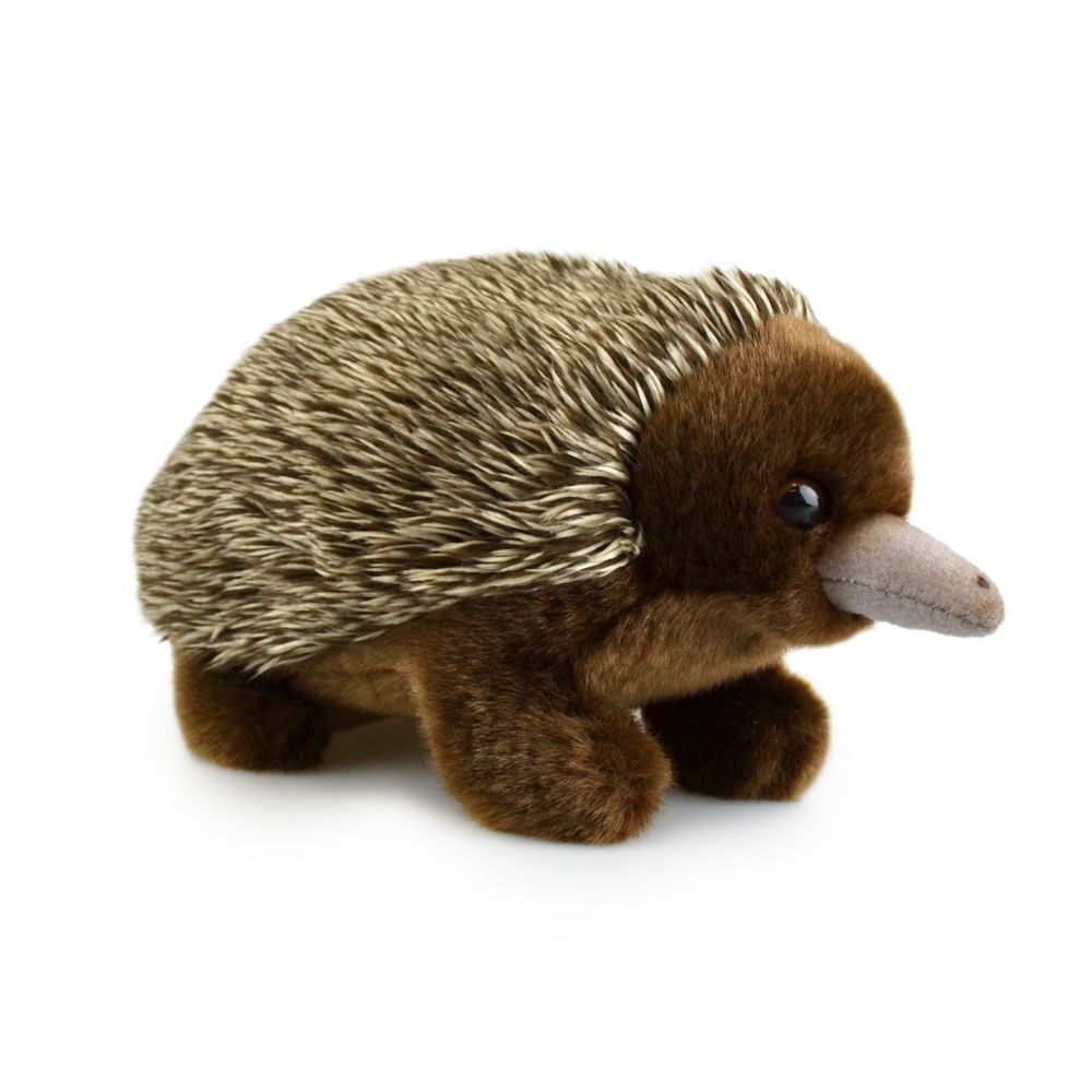 Plush Echidna Lil' Friends