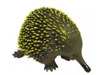 Replica Echidna