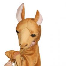 Costume Kangaroo